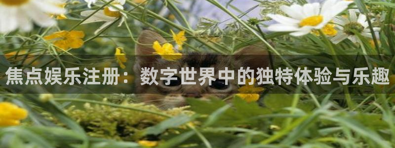 杏悦app下载安装：焦点娱乐注册：数字世界中的独特体验与乐趣