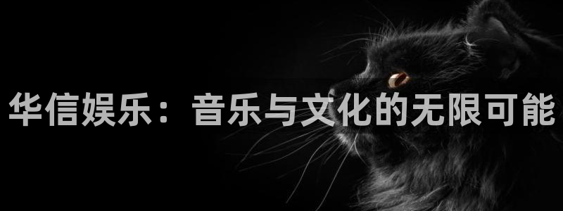 壹号大舞台：华信娱乐：音乐与文化的无限可能