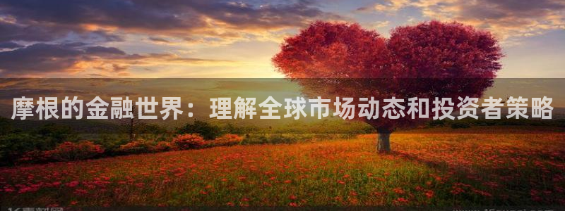 壹号大舞台下载：摩根的金融世界：理解全球市场动态和投资者策略