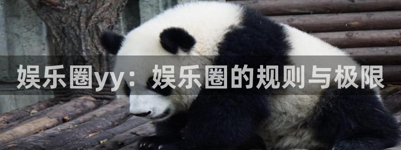 杏悦下载入口：娱乐圈yy：娱乐圈的规则与极限