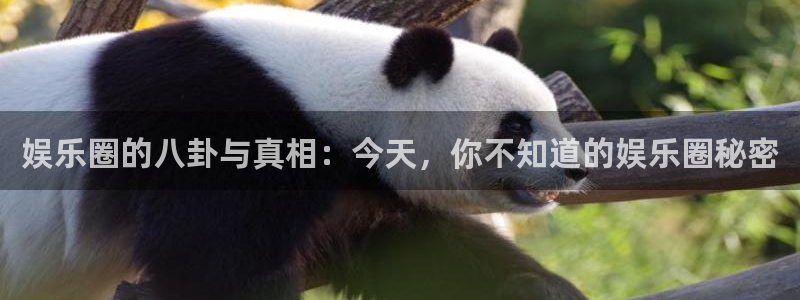 杏悦app下载安装：娱乐圈的八卦与真相：今天，你不知道的娱乐圈秘密