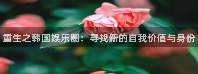 杏悦官网入口：重生之韩国娱乐圈：寻找新的自我价值与身份