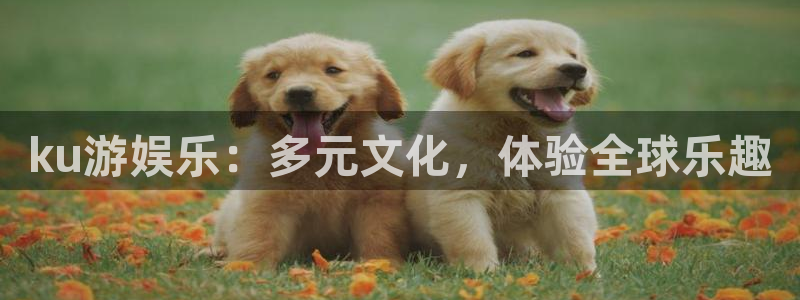 杏悦app官网下载：ku游娱乐：多元文化，体验全球乐趣