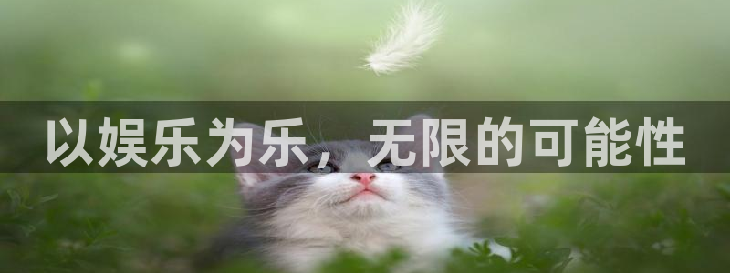 壹号国际app免费下载安装：以娱乐为乐，无限的可能性