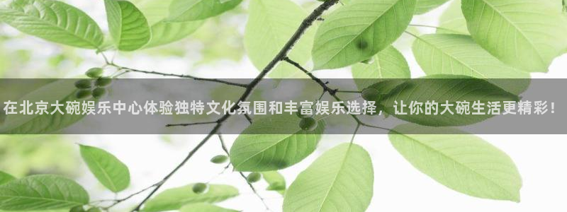 壹号大舞台,有梦你就来：在北京大碗娱乐中心体验独特文化氛围和丰富娱乐选择，让你的大碗生活更精彩！