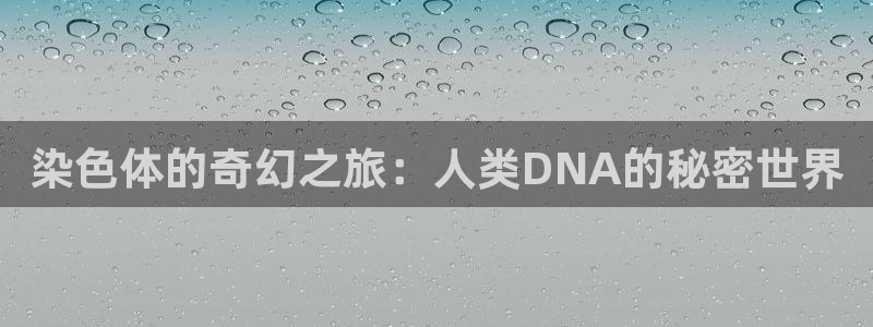 杏悦平台app下载安装：染色体的奇幻之旅：人类DNA的秘密世界