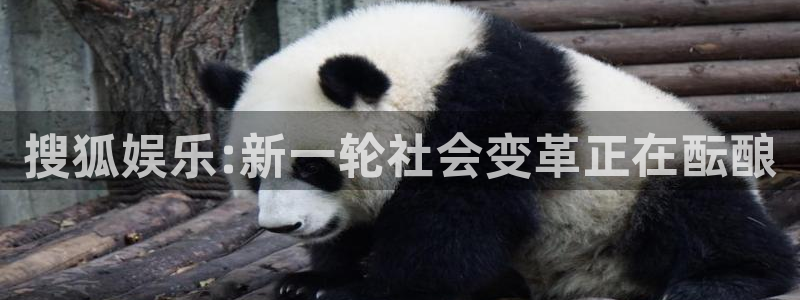 杏悦,com：搜狐娱乐:新一轮社会变革正在酝酿