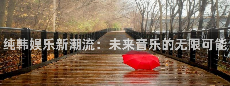 杏悦app：纯韩娱乐新潮流：未来音乐的无限可能